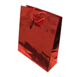 Bolsa de regalo brillante grande