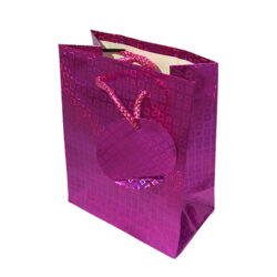 Bolsa de regalo brillante pequeña